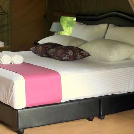 Basecamp - Yala Hotell Eksteriør bilde